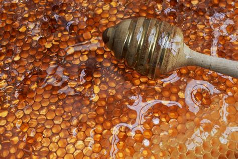 The Healing Honey: How Ancient Civilizations Utilized its Magical Properties